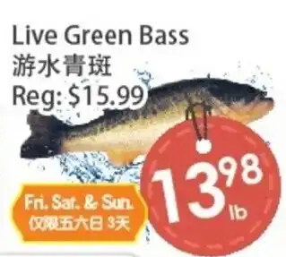 Fresh Palace Supermarket Live Green Bass offer