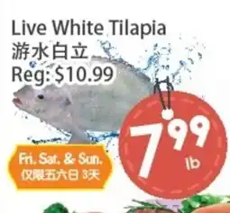 Fresh Palace Supermarket Live White Tilapia offer