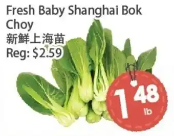 Fresh Palace Supermarket Fresh Baby Shanghai Bok Choy offer