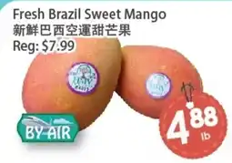 Fresh Palace Supermarket Brazil Sweet Mango offer
