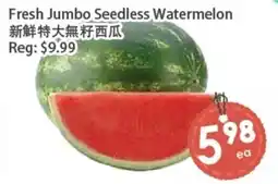 Fresh Palace Supermarket Fresh Jumbo Seedless Watermelon offer