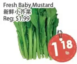 Fresh Palace Supermarket Fresh Baby Mustard offer