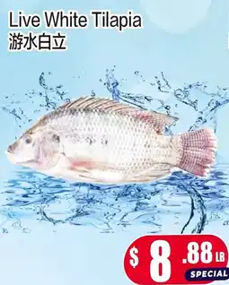 Fusion Supermarket Live White Tilapia offer