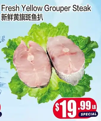 Fresh Yellow Grouper Steak