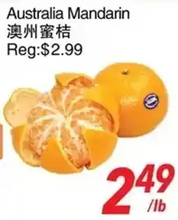 Foody World Australia Mandarin offer