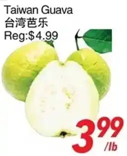 Foody World Taiwan Guava offer