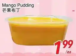 Foody World Mango Pudding offer