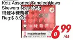 Foody World Koiz assorted candied haws skewers offer