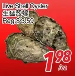 Foody World Live Shell Oyster offer