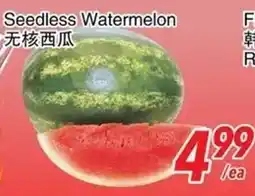 Foody World Seedless Watermelon offer