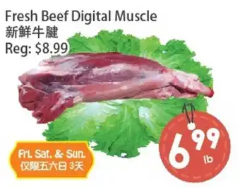 Fresh Beef Digital Muscle