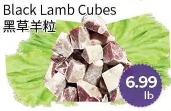 Black Lamb Cubes