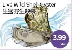 FreshWay Foodmart Live Wild Shell Oyster offer