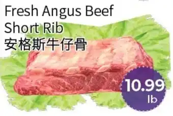 Fresh Angus Beef Short Rib