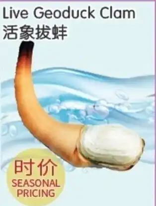 FreshWay Foodmart Live Geoduck Clam offer