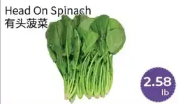 FreshWay Foodmart Head On Spinach offer