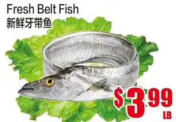 Fusion Supermarket Fresh Belt Fish offer