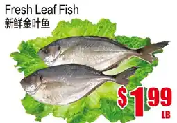 Fusion Supermarket Fresh Leaf Fish offer