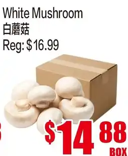 Fusion Supermarket White Mushroom offer