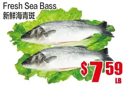 Fusion Supermarket Fresh Sea Bass offer