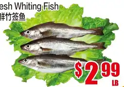 Fusion Supermarket Fresh Whiting Fish offer