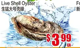 Fusion Supermarket Live Shell Oyster offer