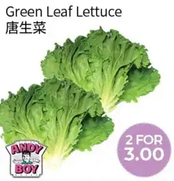 FreshWay Foodmart Andy boy green leaf lettuce offer