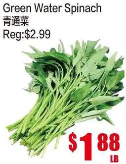 Fusion Supermarket Green Water Spinach offer