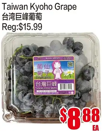 Taiwan Kyoho Grape