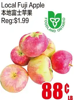 Fusion Supermarket Fuji Apple offer