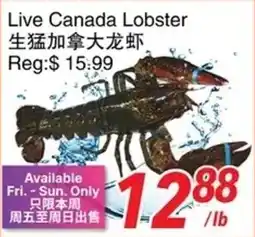 Foody World Canada Lobster offer