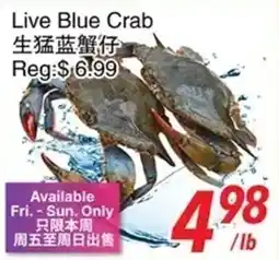 Foody World Live Blue Crab offer
