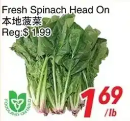 Foody World Fresh Spinach Head On offer