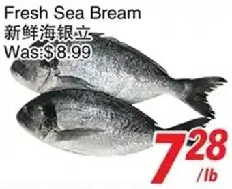 Fresh Sea Bream