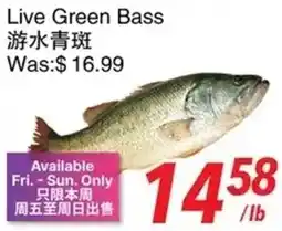 Foody World Live Green Bass offer