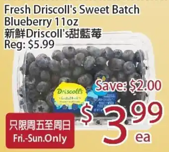 Driscoll's blueberry