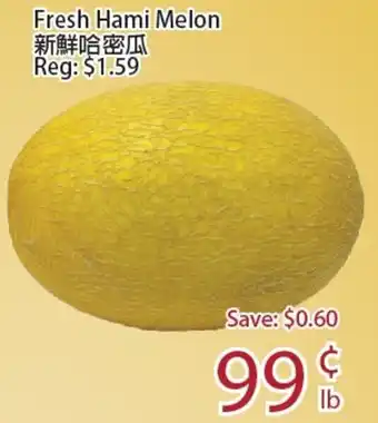 Fresh Hami Melon