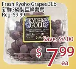 Sunny Food Mart Kyoho grapes offer