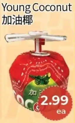 FreshWay Foodmart Young Coconut offer