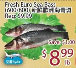 Sunny Food Mart Fresh Euro Sea Bass offer