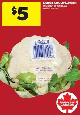 Dominion Large cauliflower offer