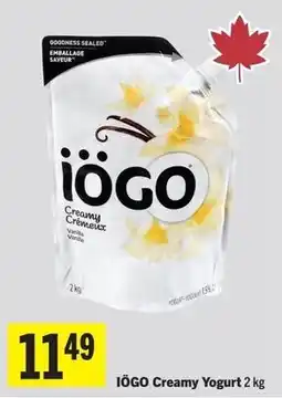 IGA iogo creamy yogurt offer