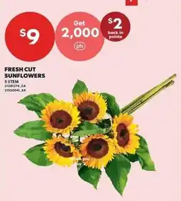 Independent Grocer Fresh Cut Sunflowers offer