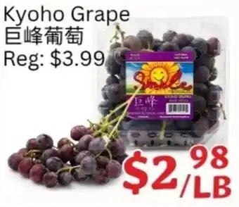 Kyoho Grape