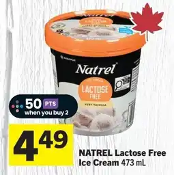 IGA Natrel Lactose Free Ice Cream offer