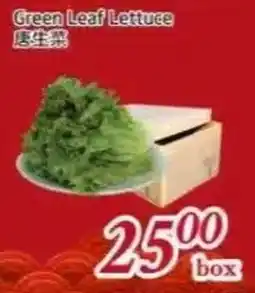 Tone Tai Supermarket Green Leaf Lettuce offer