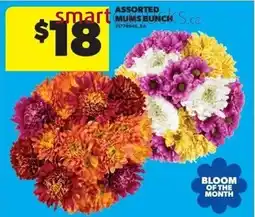Dominion smart assorted mums bunch offer