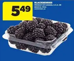 Dominion Blackberries offer