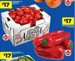 Dominion Roma Tomato Half Bushel Box offer