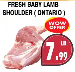 Al-Quds Supermarket Fresh baby lamb shoulder offer